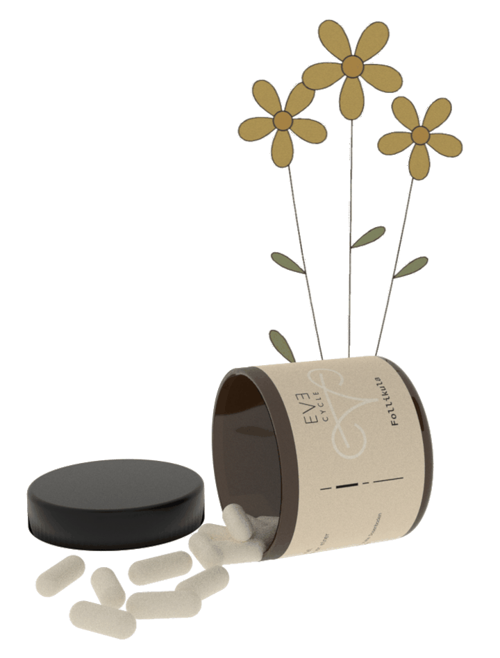Follikula Glas mit Blüten und Kapseln