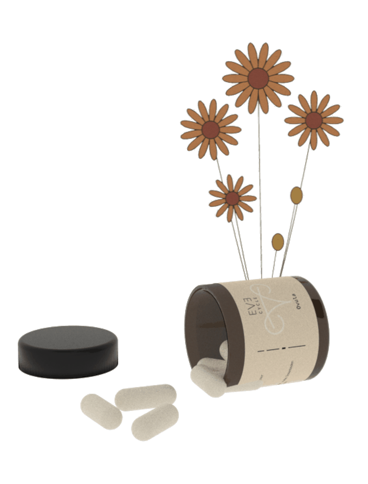 Ovula Glas mit Blüten und Kapseln