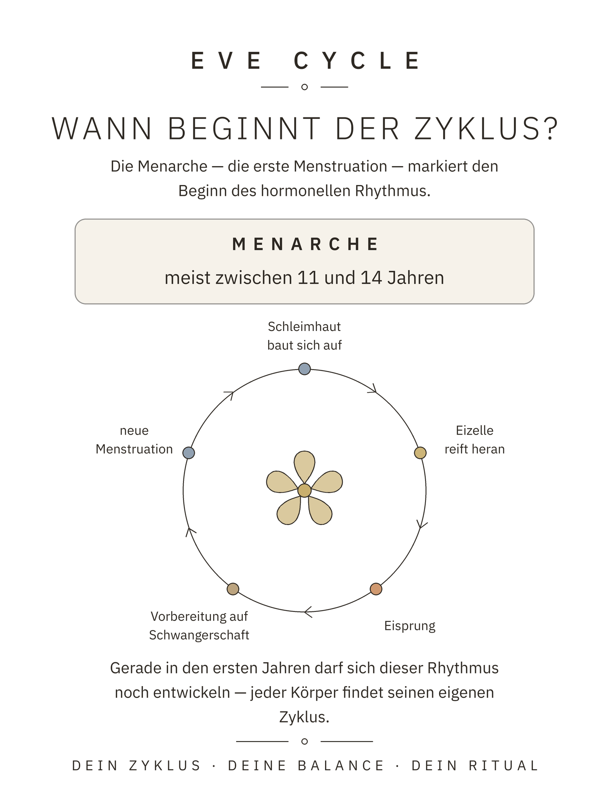 Infografik: Wann beginnt der Zyklus? Menarche und der hormonelle Rhythmus