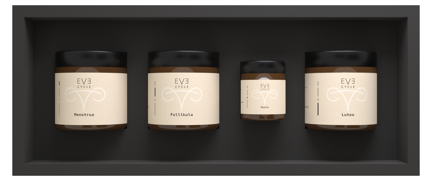 Eve-Cycle: vier Glasbehälter Menstrua, Follikula, Ovula und Lutea in der schwarzen Box